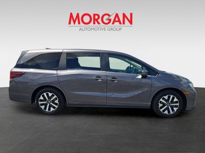 2026 Honda Odyssey - Photo 3