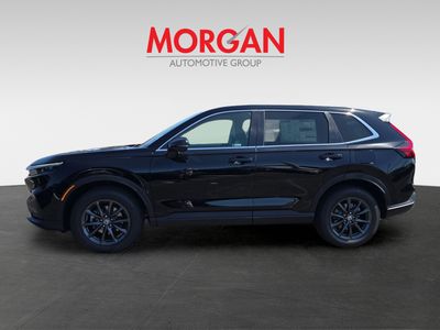 2026 Honda CR-V - Photo 6