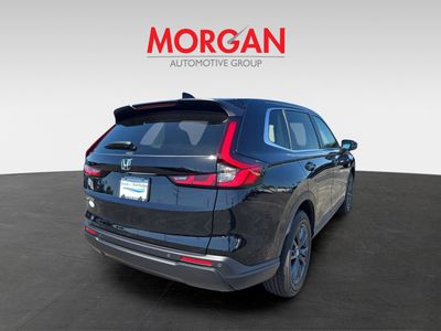 2026 Honda CR-V - Photo 4
