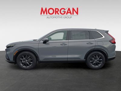 2026 Honda CR-V - Photo 6