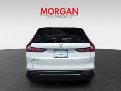 2026 Honda CR-V - Photo 6