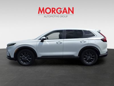 2026 Honda CR-V - Photo 8