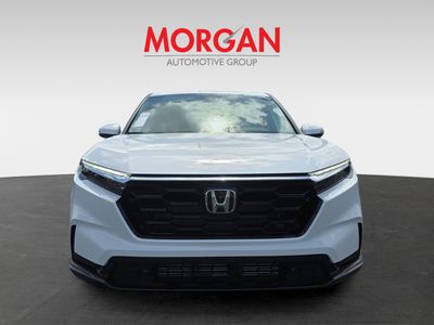 2026 Honda CR-V - Photo 3