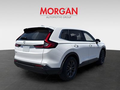 2026 Honda CR-V - Photo 3