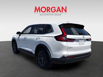 2026 Honda CR-V - Photo 4