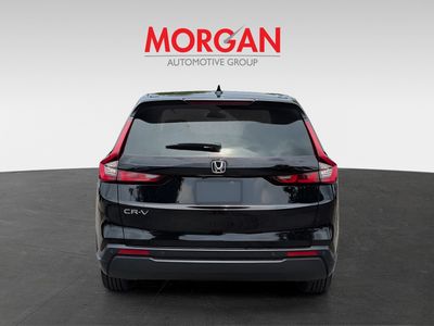 2026 Honda CR-V — detail view