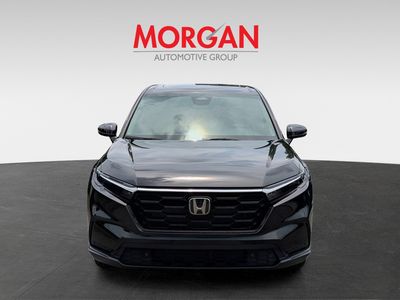 2026 Honda CR-V — photo 8 view