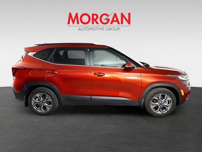 2024 Kia Seltos - Photo 2