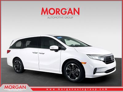 2024 Honda Odyssey - Photo 1
