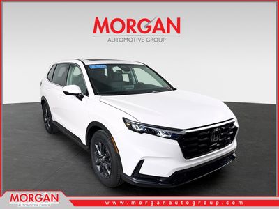 2026 Honda CR-V - Photo 1