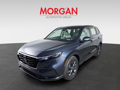 2026 Honda CR-V - Photo 4