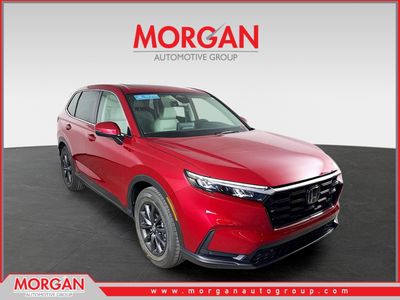 2026 Honda CR-V - Photo 1
