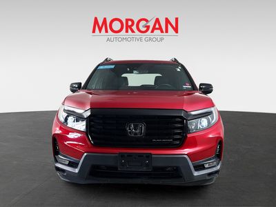 2024 Honda Passport - Photo 3