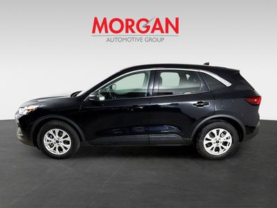 2024 Ford Escape - Photo 6
