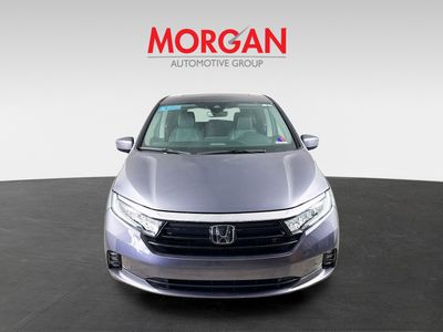 2024 Honda Odyssey - Photo 3
