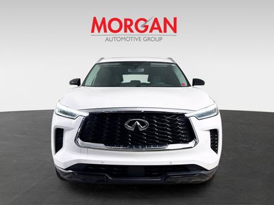 2023 INFINITI QX60 - Photo 3