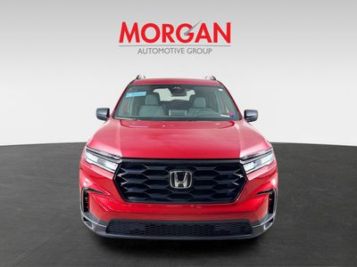2025 Honda Pilot - Photo 3