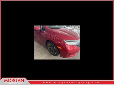 2024 Honda Odyssey - Photo 1