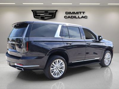 2025 Cadillac Escalade — detail view