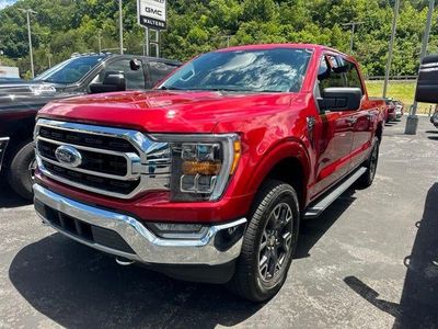 2021 Ford F-150 — detail view