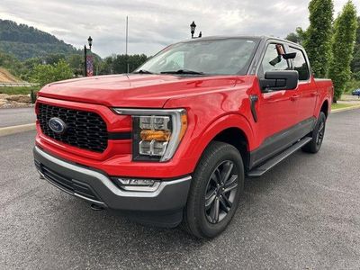 2023 Ford F-150 — detail view