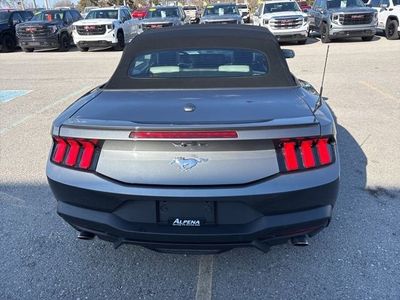 2024 Ford Mustang — interior view
