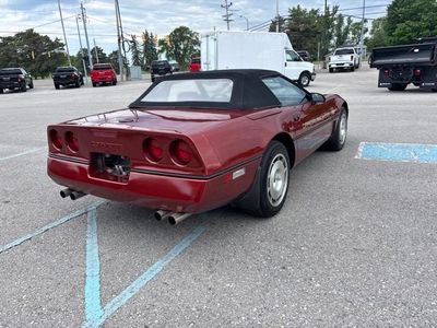 1986 Chevrolet Corvette — detail view