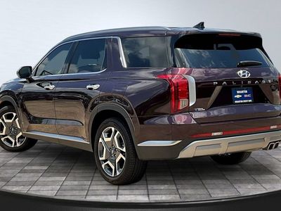 2024 Hyundai Palisade — detail view