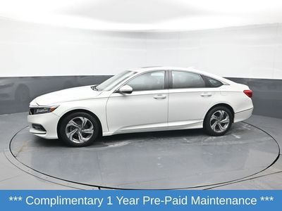 2019 Honda Accord - Photo 3