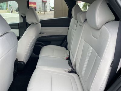 2026 Hyundai Elantra - Photo 13