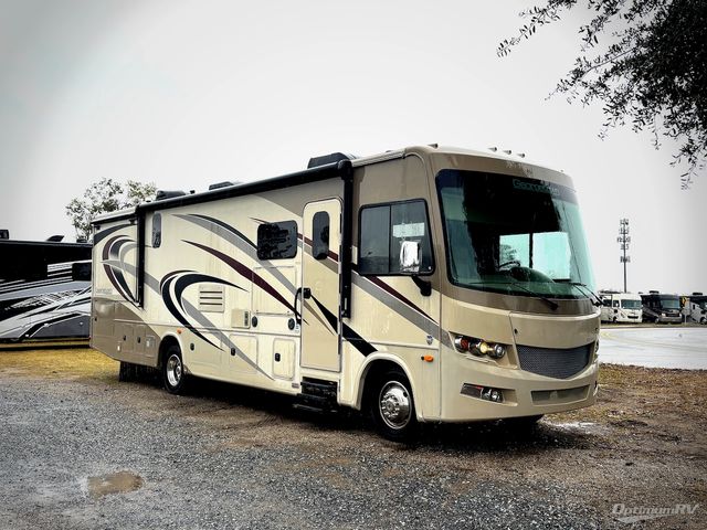 2017 Forest River Georgetown