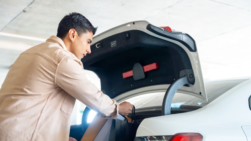 Cargo & Organization — Auto accessories