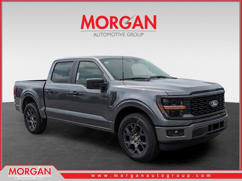 2026 Ford F-150 STX in Gray — front three-quarter view