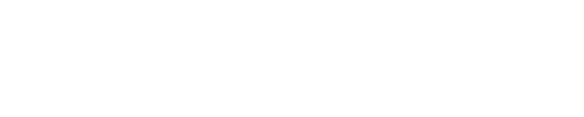 Seatix Logo