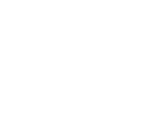 Seatix Logo