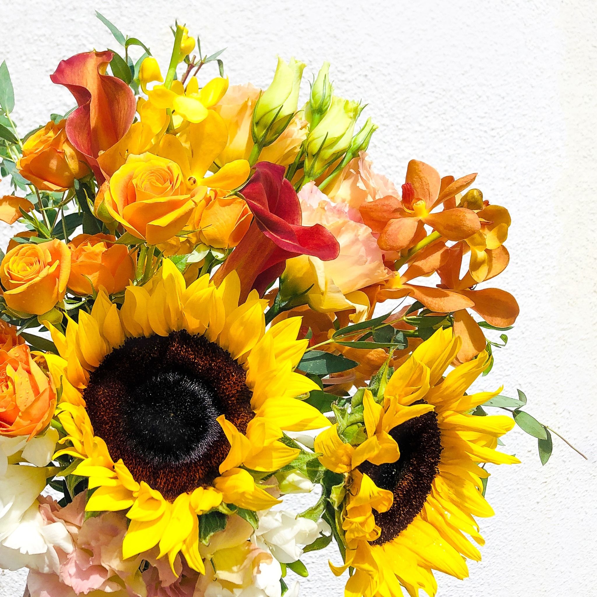 flower subscription freshblooms.co