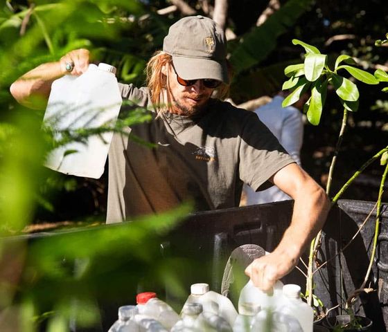 Activités de reboisement du littoral