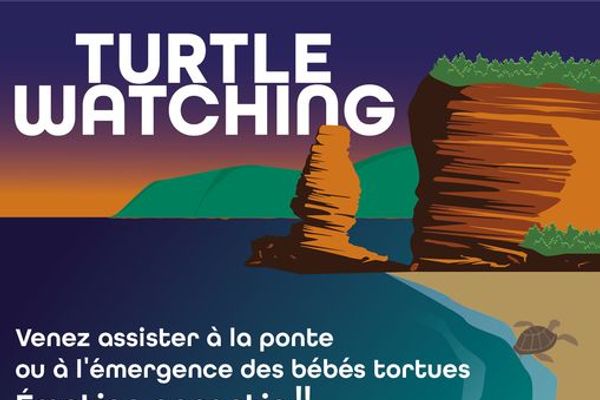 Turtle Watching guide avec visiteurs