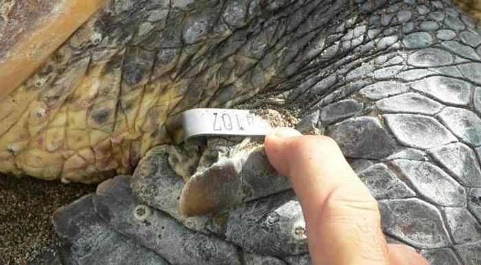 Éducation environnementale