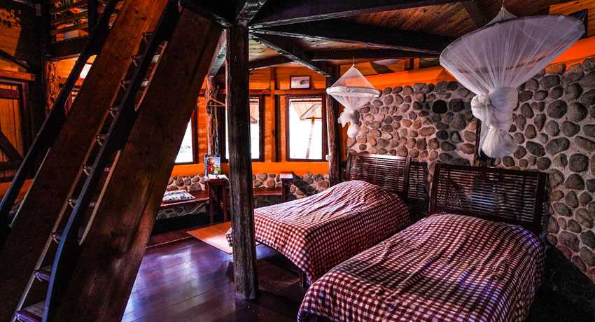 Case Mélanésienne 6