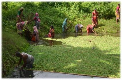 Pond Restoration in Radhadkrishnapur Village