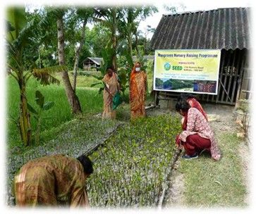 Mangrove Restoration in Ghoramara Island