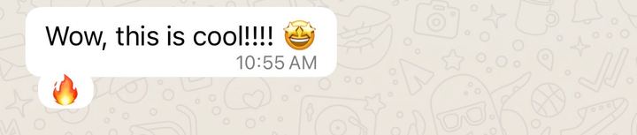 Customer WhatsApp reaction: Wow, this is cool.