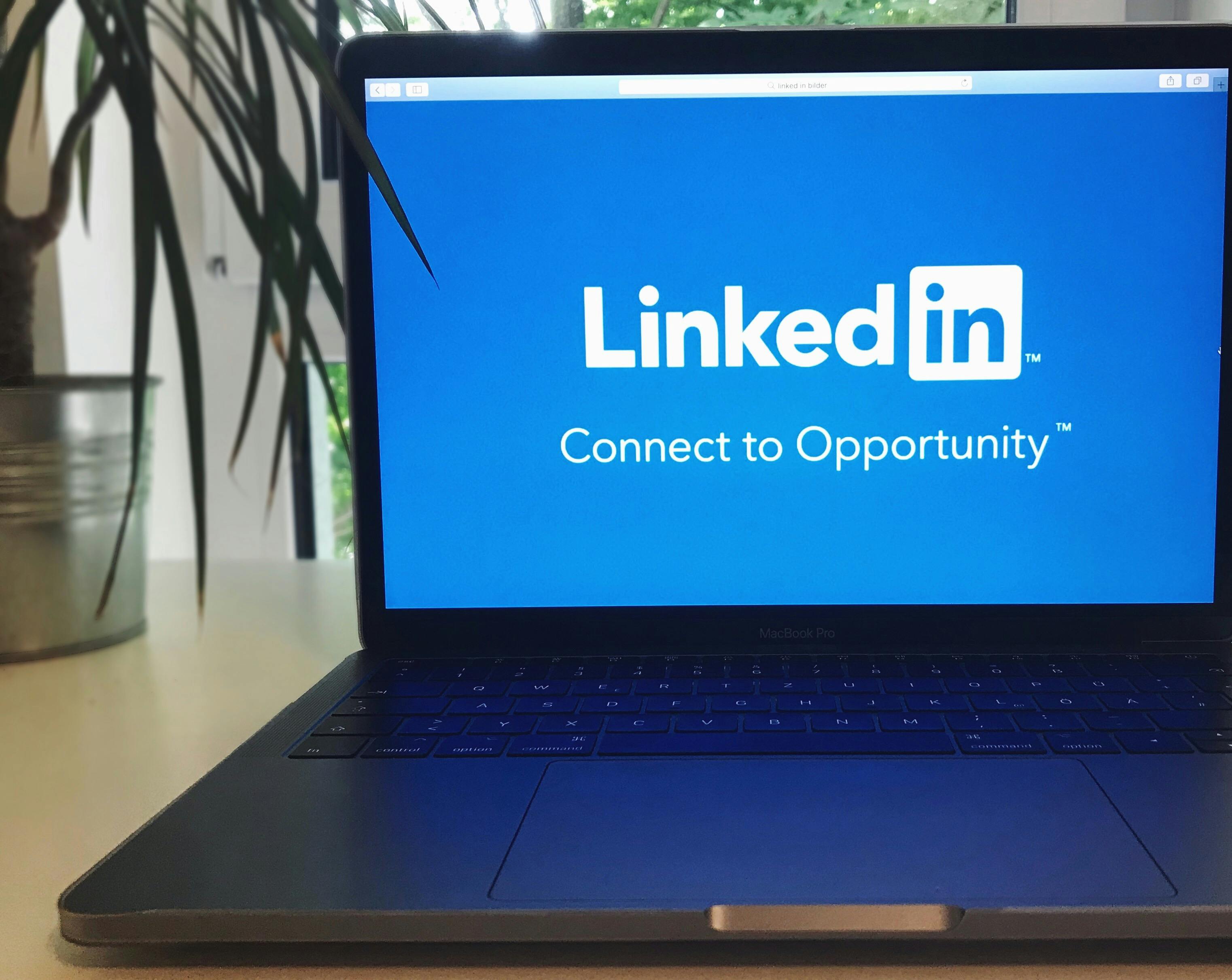 Linkedin Photo by Tobias Dziuba.jpg