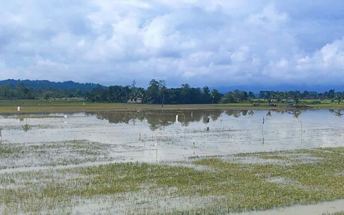 KPK Panggil Eks Kepala BBPJN Sumatera Utara Jadi Saksi Kasus Korupsi Proyek Jalan