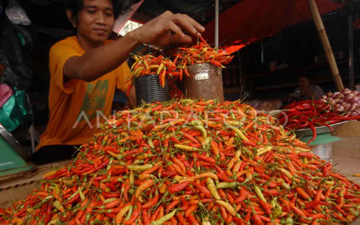 Harga Bahan Pokok Terbaru di Manado! Cabai Rawit di Pasar Bersehati Mulai Naik