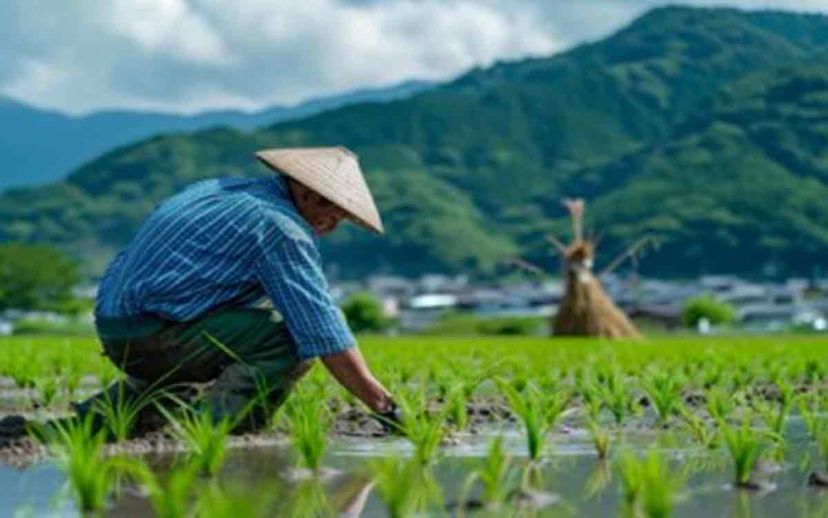 Heboh! Komisi IV DPR RI Minta Pemerintah Tuntaskan Masalah Lahan Petani Indramayu