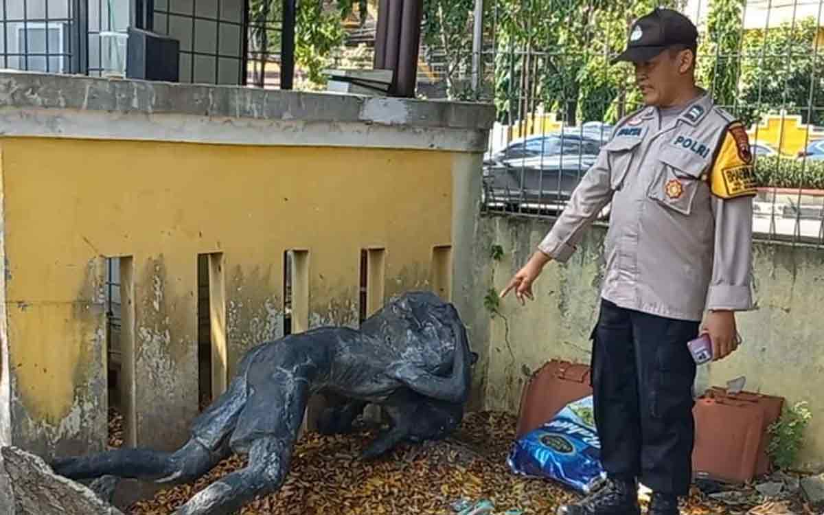 Tragedi di Museum Ranggawarsita Semarang, Bocah SD Tewas Tertimpa Patung, Simak Faktanya! Tragedi di Museum Ranggawarsita Semarang, Bocah SD Tewas Tertimpa Patung, Simak Faktanya!
