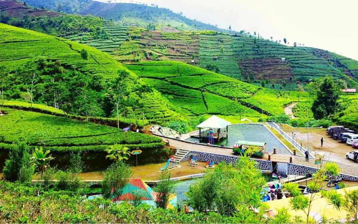 Dikelilingi Kebun Teh dan Kabut Pegunungan, Agro Kaligua Jadi Destinasi Favorit