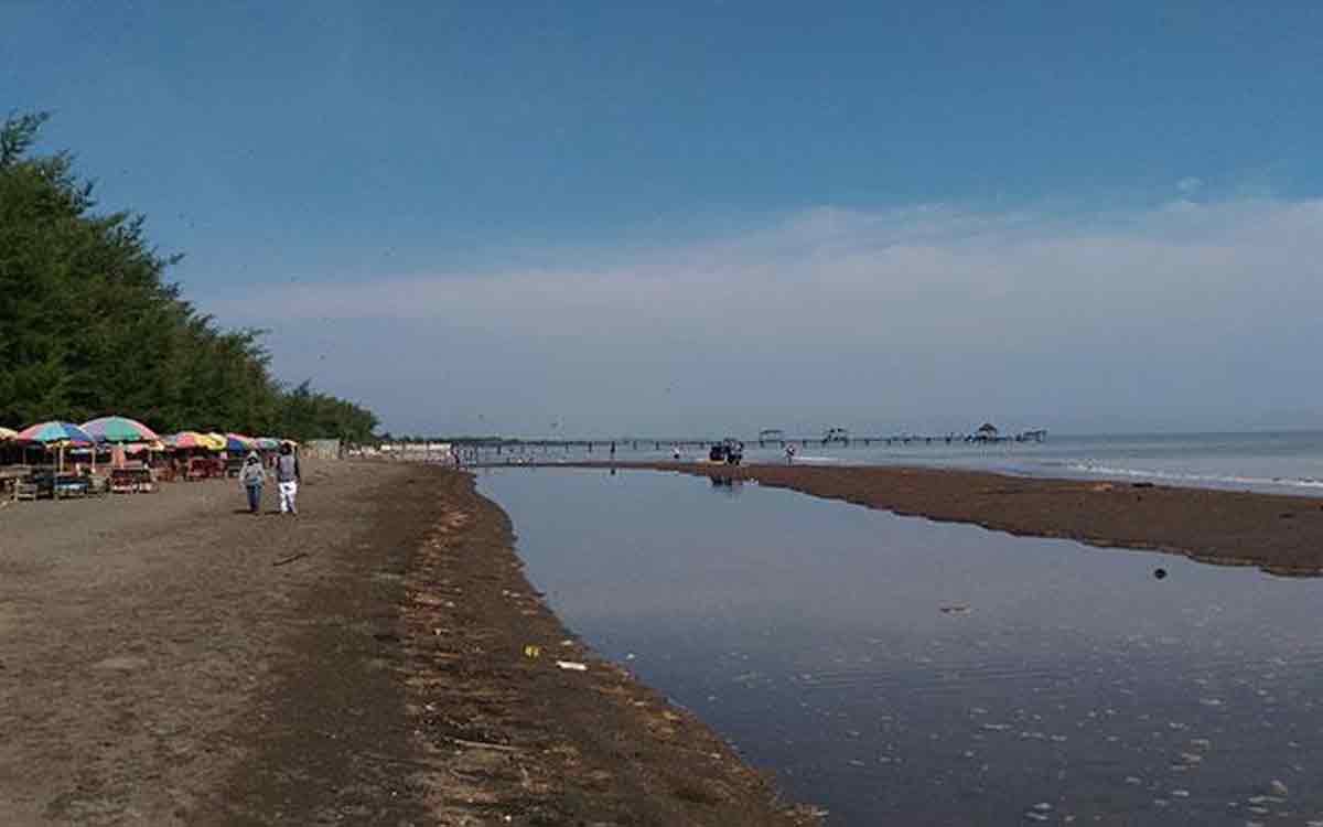 Pantai Widuri Pemalang, Surga Tersembunyi di Pesisir Jawa Tengah!